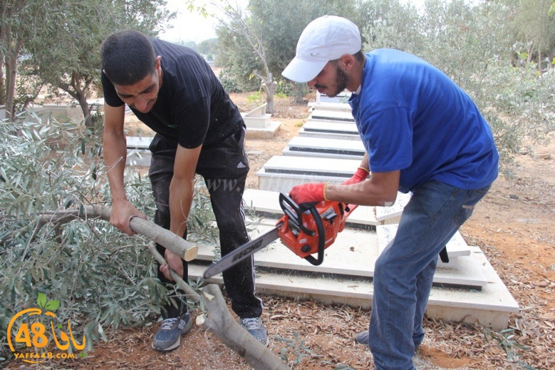 tasoooi3i1412 (59).JPG